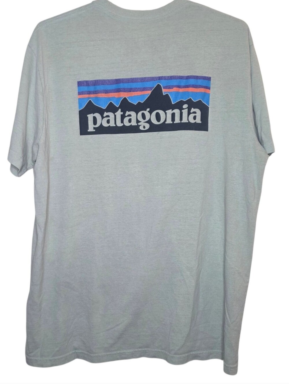 Patagonia Light Green Graphic 50/50 Recycled Cotton Polyester T-Shirt Size Large